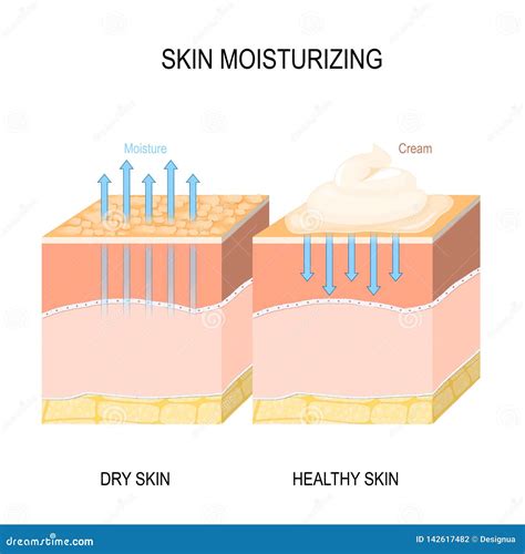 Skin - Moisturizing Lotion Absorption Royalty-Free Stock Photo