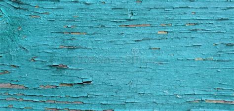 Old Blue Paint Peeling Off The Board Under The Influence Of Nature