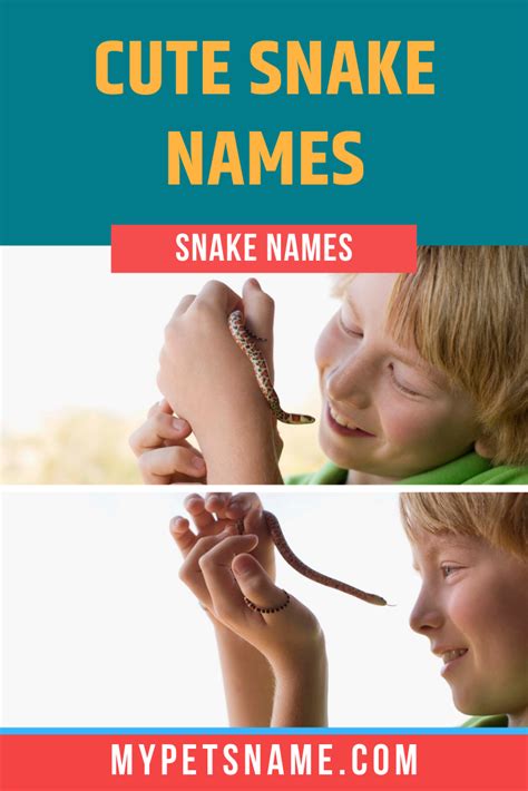 Funny snake names – Artofit