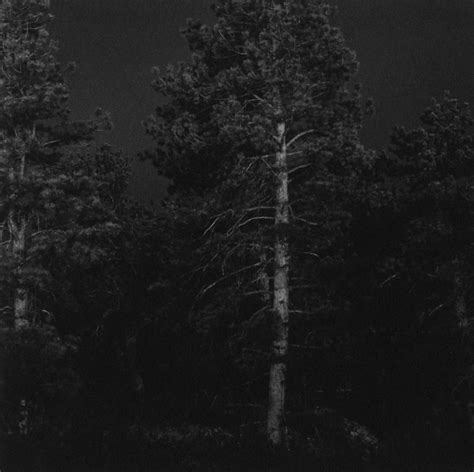 Something Between Want And Desire Robert Adams Summer Nights