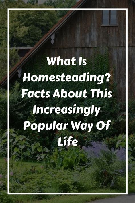 5 Facts About Why Homesteading Become A Popular Way Of Life