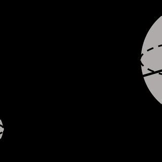 Diagram showing the dynamic model. | Download Scientific Diagram