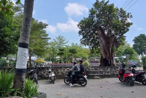 Dinas PUPR Sebut 96 Persen Jalan Kota Mataram Kondisi Mantap