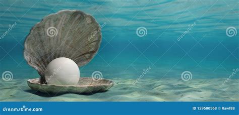 Pearl In An Oyster Shell Underwater On The Sea Bottom D Illustration