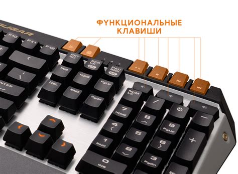 Функциональные клавиши и для чего они предназначены: Для чего нужны ...