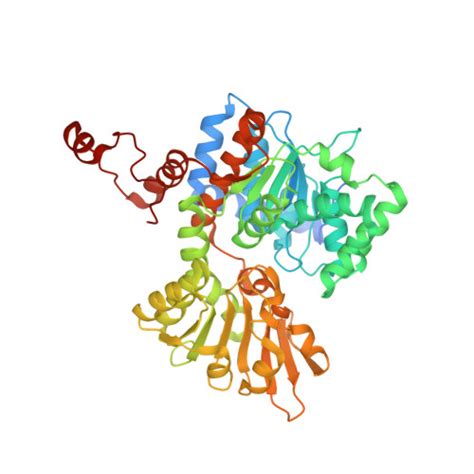 RCSB PDB 3GLQ Crystal Structure Of S Adenosyl L Homocysteine