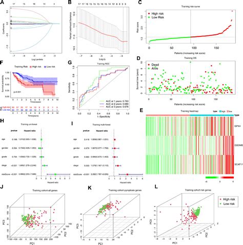 Frontiers Identification And Validation Of Pyroptosis Related Gene