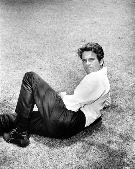33 Gorgeous Photos Of Warren Beatty In The 1950s And 1960s ~ Vintage Everyday