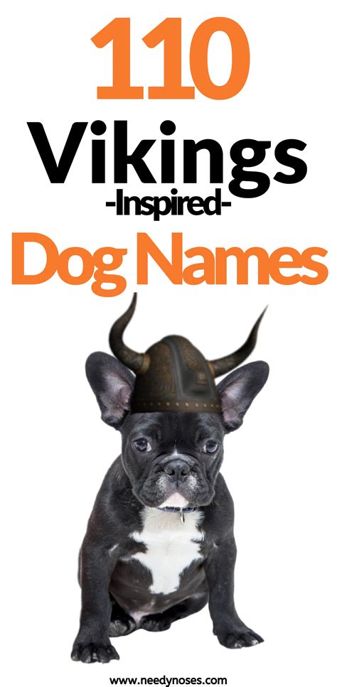 Unique dog names - zipsapje
