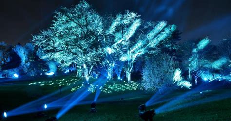 Photos: 2023 Illumination: Tree Lights at The Morton Arboretum – Shaw Local