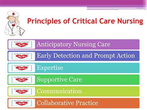 Principles Of Critical Care 5th Edition Pdf 8