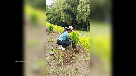 Das Beste Vom Juni XVIDEOS