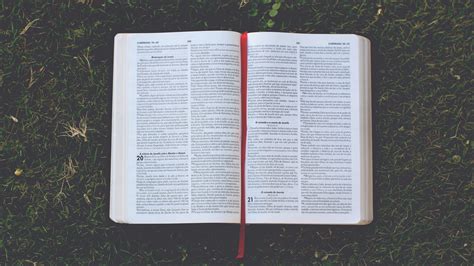 Eat This Book