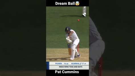 😳 😃most 😗 Unbelievable 😱 Cricket 💥cricket 😊 New Crickettrendingreels