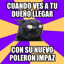 Meme Anxiety Cat Cuando Ves A Tu Due O Llegar Con Su Nuevo Poleron