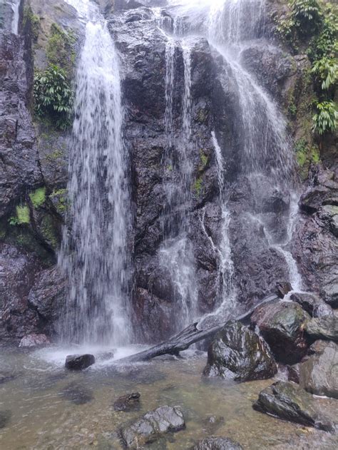 Visit Tobago Argyle Waterfalls Tours Tobago Taxi And Tours