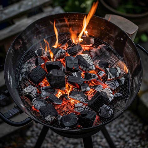 how to light a bbq with charcoal 8