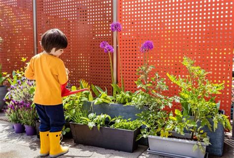 The Growing Trend Of Urban Terrace Gardening In India For Healthy