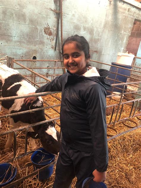 St.Stephen's School - Weekend Wick Court Farm Update