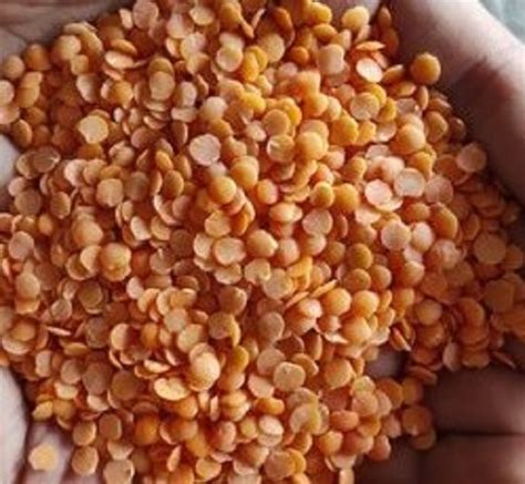 100 Percent Pure And Fresh Rich Protien Highly Nutritious Masoor Dal