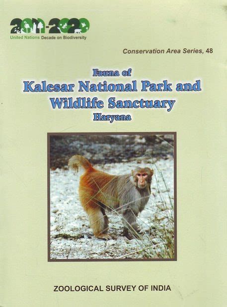 Fauna Of Kalesar National Park And Wildlife Sanctuary Haryana Nhbs