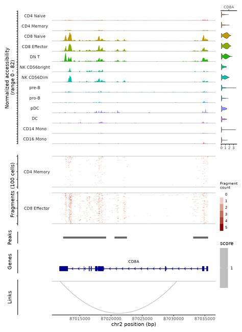 Visualization Of Genomic Regions Signac