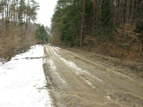 pauliberg