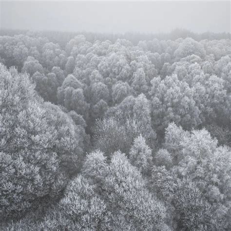 winter wonderland hoar frost paul earle photography