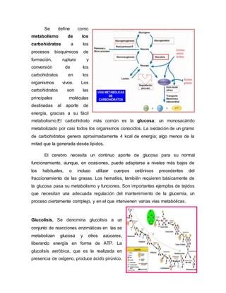 Metabolismo De Los Carbohidratos PDF