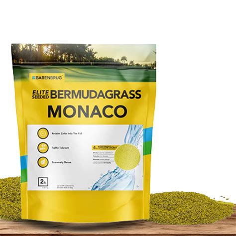 home depot bermuda seed 7