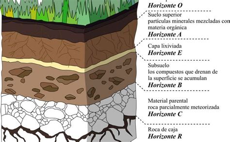 Horizontes Del Suelo Inspiration Save