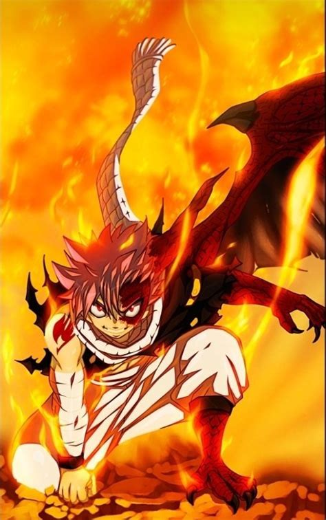 Wer mögt ihr mehr Fairy Tail Gilde Amino