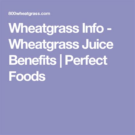 Wheatgrass Benefits For Your Health