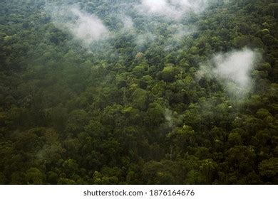 Aerial View Amazon Rainforest Stock Photo 1876164676 | Shutterstock