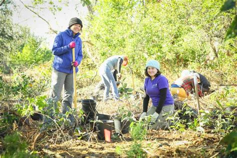 Planting trees at wildlife sanctuary 1 | | qchron.com