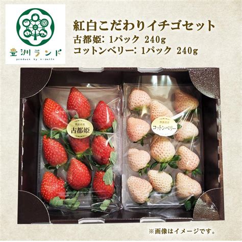 紅白こだわりイチゴセット 古都姫 コットンベリー 240g 奈良県産 いちご 苺 フルーツ 豊洲 食べ比べセット 新品種 古都華 珠姫