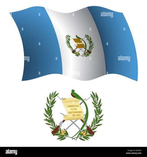 Guatemala ondulada, Bandera y escudo contra fondo blanco, ilustración, arte vectorial imagen ...