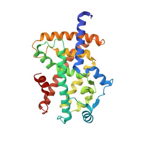 Rcsb Pdb 8hum X Ray Structure Of Human Ppar Gamma Ligand Binding