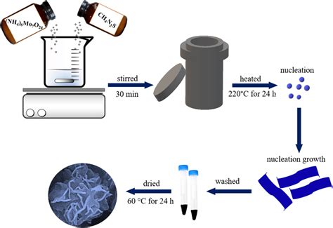 Schematic Illustration Of The Synthesis Process Of The Mos2 Nanosheets