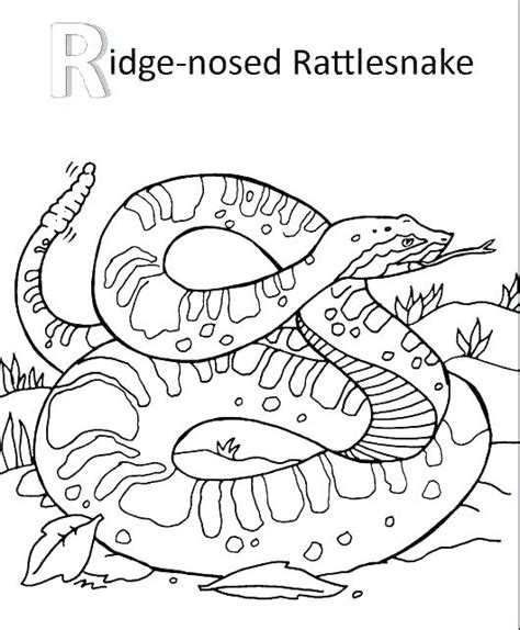 Diamondback Rattlesnake Coloring Page At Free