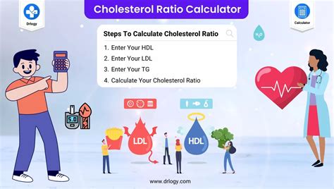 Best Cholesterol Ratio Calculator | Cholesterol Levels - Drlogy