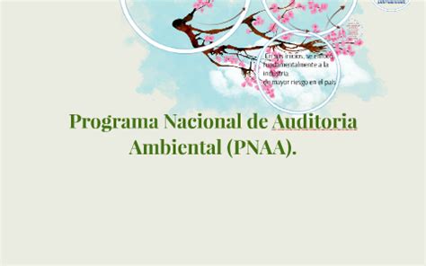 Programa Nacional de Auditoria Ambiental PNAA by Elsa Hernández on Prezi