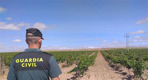 Detenida La Propietaria De Una Bodega Por Falsificaci N De Certificados