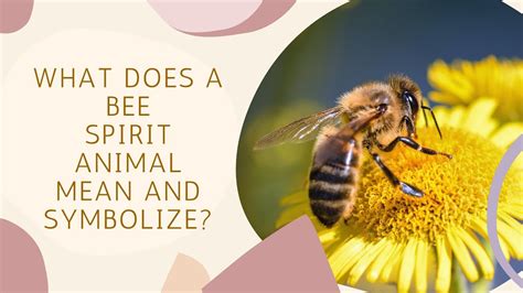 What Does A Bee Spirit Animal Mean And Symbolize Youtube