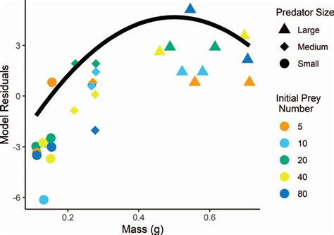 Functional Responses Of Larval Marbled Salamanders Ambystoma Opacum