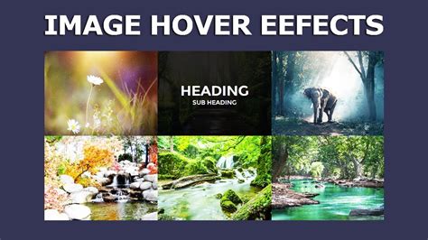 Css Image Hover Effects Pure Css Tutorial How To Create Image Hover