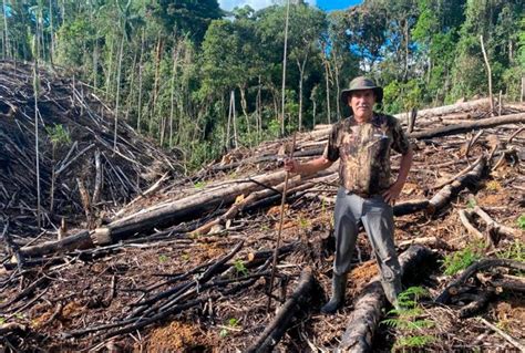 AMAZONÍA PERUANA ENFRENTA CUATRO DESAFÍOS PRINCIPALMENTE EL PROBLEMA