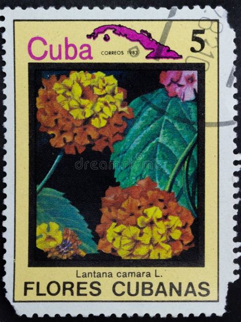 Postage Stamp Republic Of Cuba Editorial Image Image Of Paper Herb