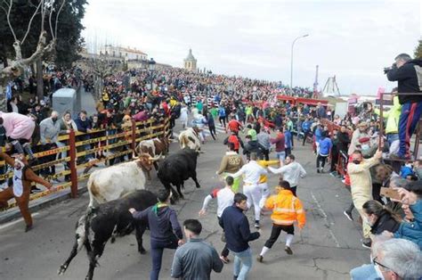 El Gran Reto Que Busca El Carnaval Del Toro De Ciudad Rodrigo La