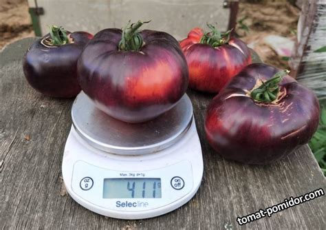 Аметистовая драгоценность - Альбомы - tomat-pomidor.com